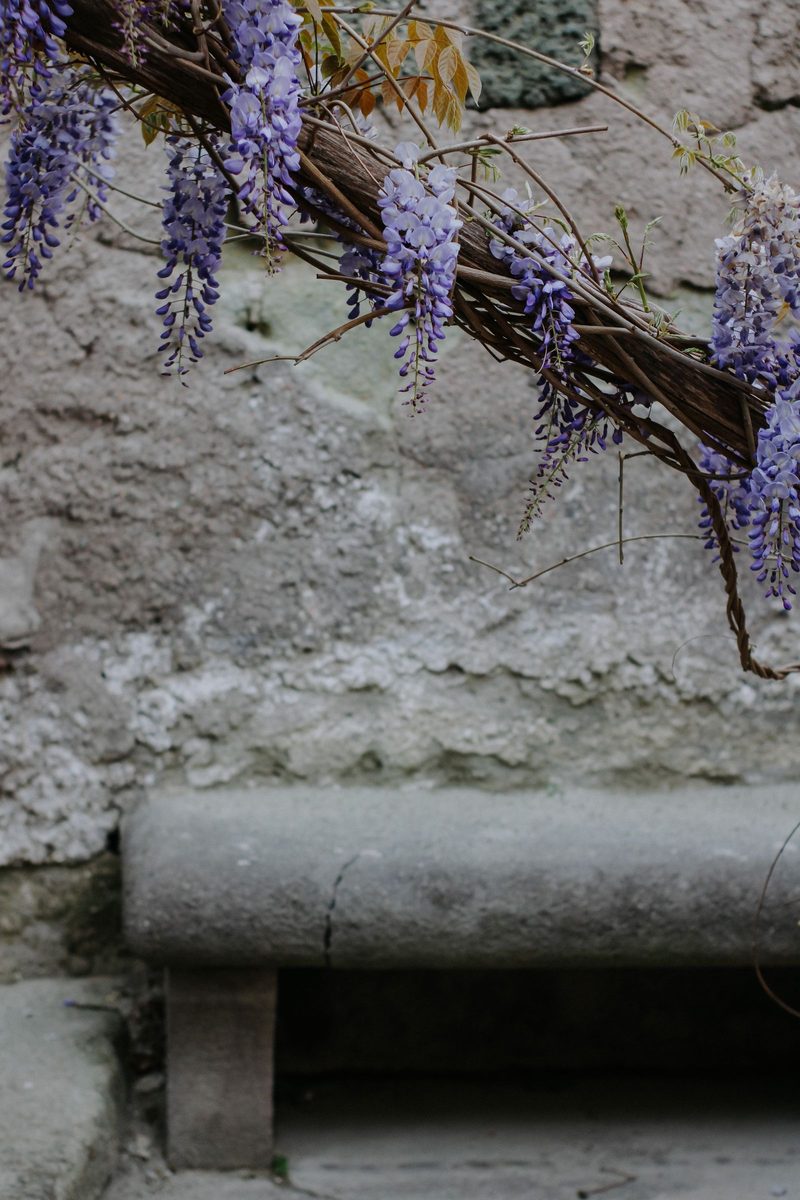Purple blossom on a branch against a pale wall, in a jacaranda duotone.